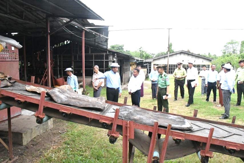 News Photo