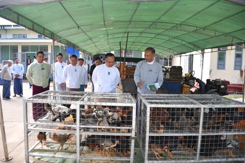 လွိုင်ကော်မြို့နယ်ခန်းမ၌ ကျင်းပပြုလုပ်သည့် ပြည်နယ်အစိုးရအဖွဲ့မှ ယာယီနေရပ်စွန့်ခွာရာမှ ပြန်လည်ရောက်ရှိနေထိုင်သည့် နေရပ်ပြန်ပြည်သူ အိမ်ထောင်စု ၆၈ စုတို့အား ဒေသမျိုးသန့်တိရစ္ဆာန်များပေးအပ်ခြင်းအခမ်းအနားသို့ တက်ရောက်