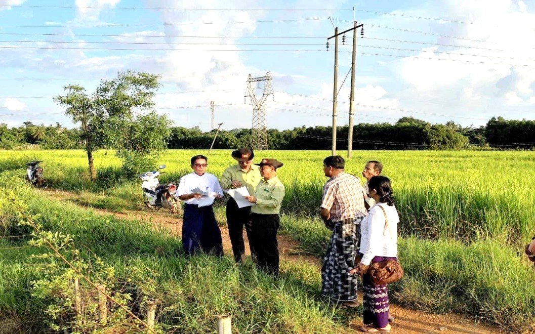 မော်လမြိုင်မြို့နယ်၊ မော်လမြိုင်မြို့၊ ညောင်ပင်ဆိပ်ရပ်ကွက်၊ ကွင်းအမှတ် (၃၈၆)ရှိ လယ်ယာမြေသို့ သွားရောက်၍ နွေစပါး၊ နေကြာနှင့်ဆောင်းသီးနှံများ လျာထားချက်ပြည့်မီစွာ စိုက်ပျိုးနိုင်ရေးအတွက် ကွင်းဆင်းစစ်ဆေး